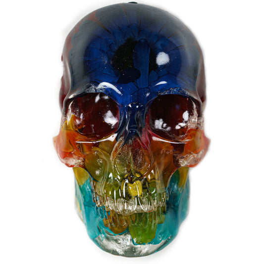 Resin skull 1