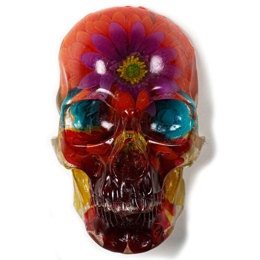 Resin Skull 4