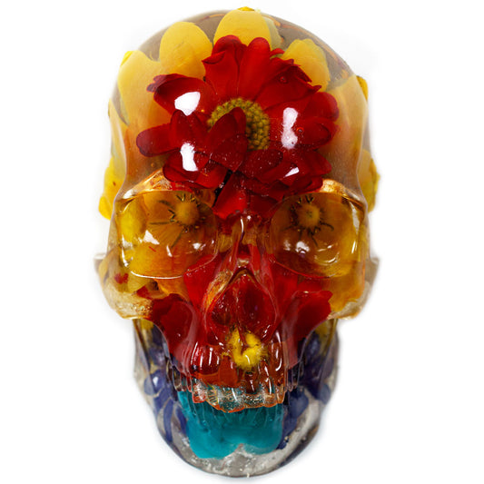 Resin Skull 3